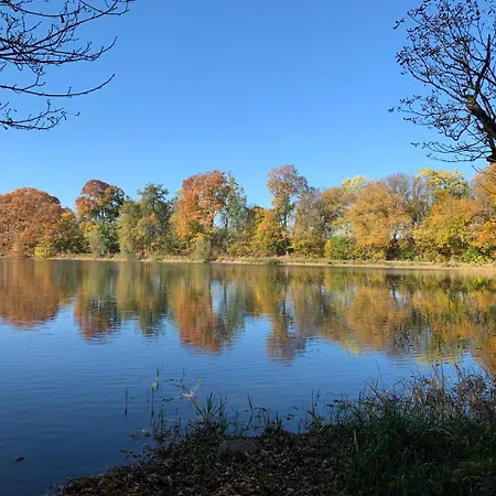 Motel Domek Mysliwski