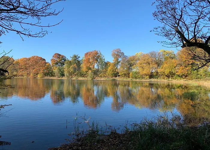 Motel Domek Mysliwski